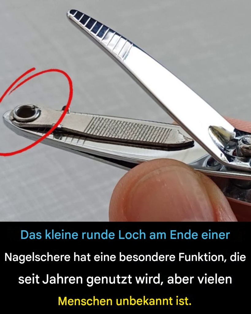 0ab29d42-dab9-4ae6-b800-44909269b6ef