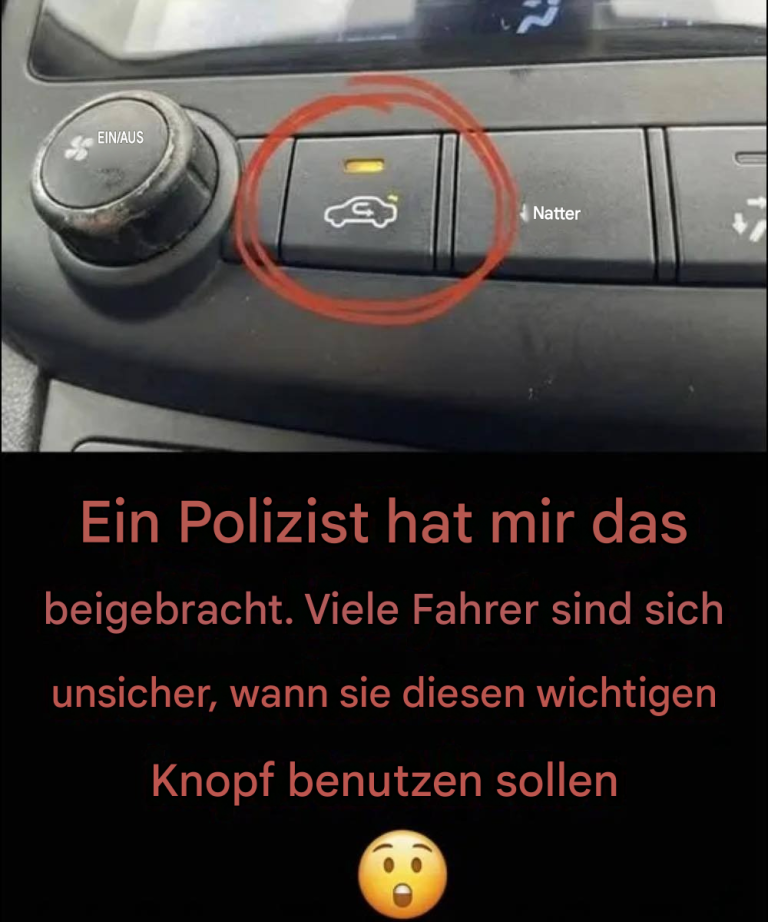 179901a3-c7a3-4385-8e9c-79aa483743ae