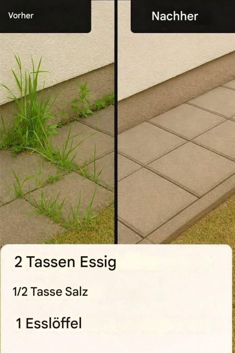 726458170_986027787567129_6657444770118152163_n