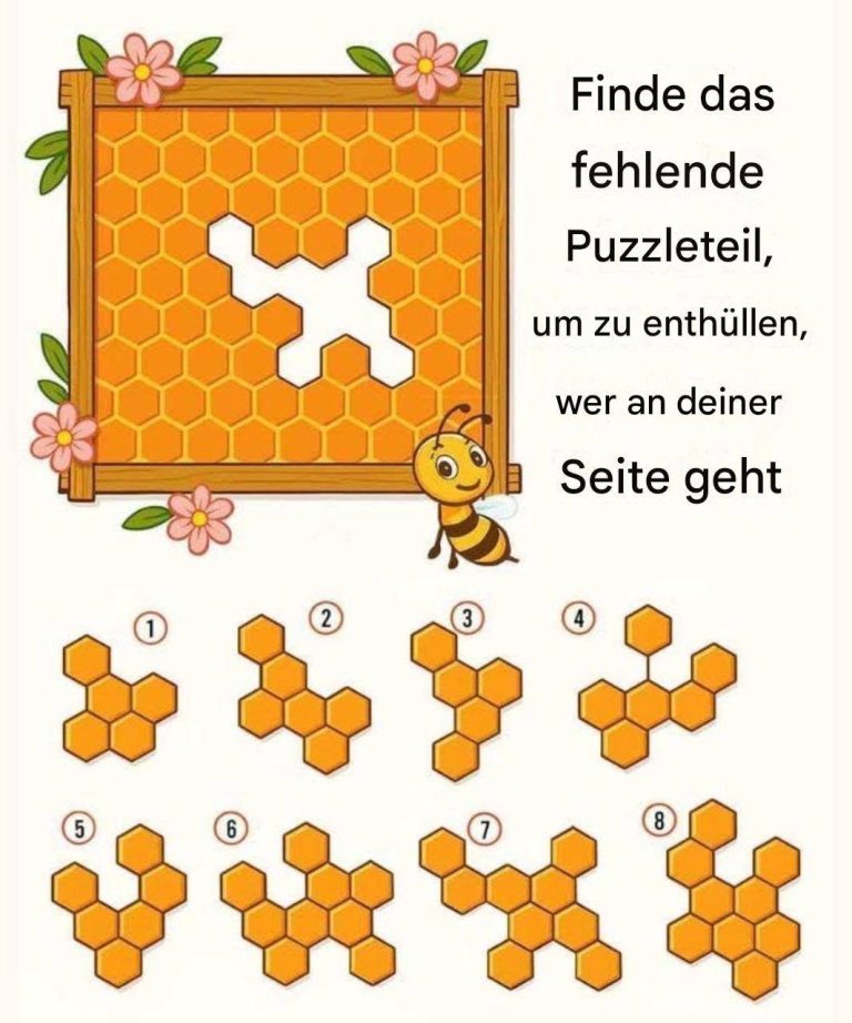 731068449_1034163989063718_6406433058246520197_n